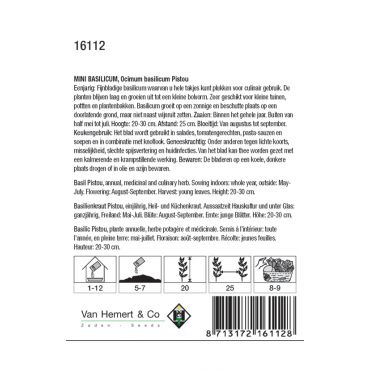Mini Basilicum Pistou - afbeelding 2