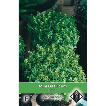 Mini Basilicum Pistou - afbeelding 1