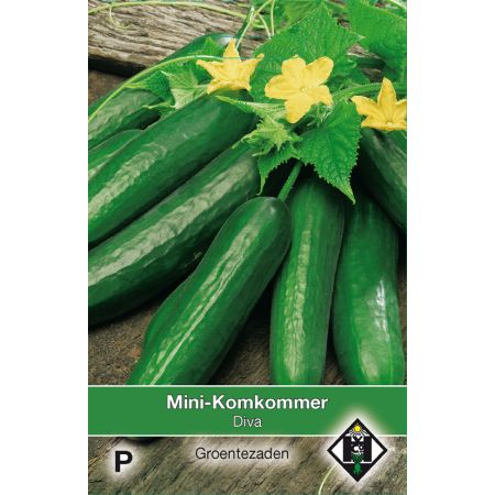 Mini Komkommer Diva - afbeelding 1