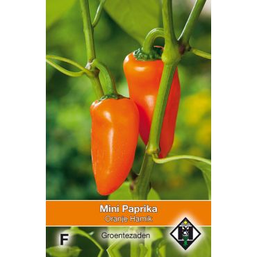 Mini Paprika oranje Hamik - afbeelding 1