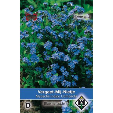 Myosotis sylvatica Indigo Compacta - afbeelding 1