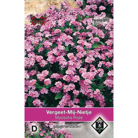 Myosotis sylvatica Roze - afbeelding 1