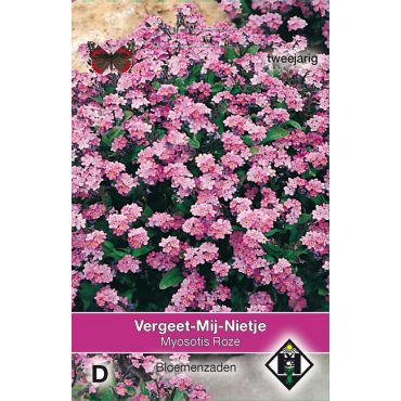 Myosotis sylvatica Roze - afbeelding 1