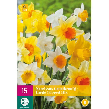 Narcissus Grootkronig Mix