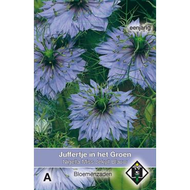 Nigella damas. Miss Jekyll Blauw - afbeelding 1
