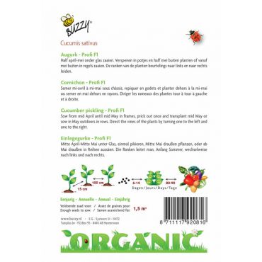 Augurk Profi F1 (BIO) - afbeelding 2