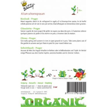 Bieslook Prager (BIO) - afbeelding 2