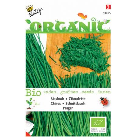 Bieslook Prager (BIO) - afbeelding 1