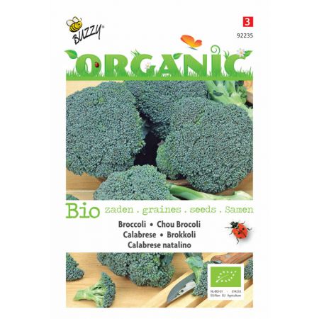 Broccoli Calabrese natalino (BIO) - afbeelding 1