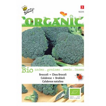Broccoli Calabrese natalino (BIO) - afbeelding 1