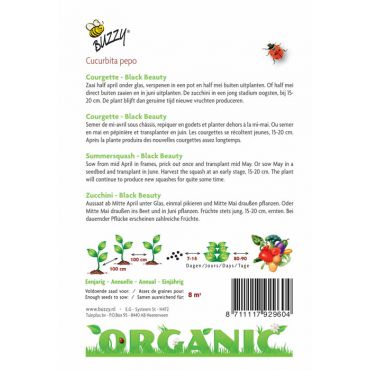Courgette Black Beauty (BIO) - afbeelding 2