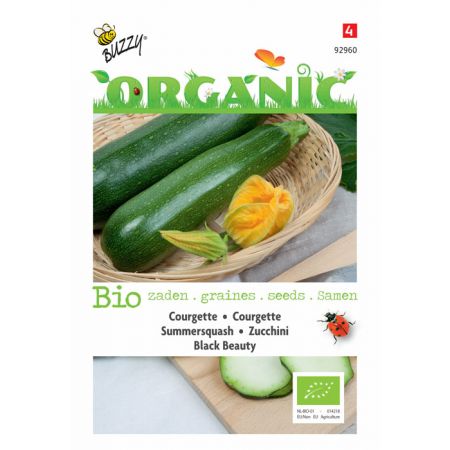 Courgette Black Beauty (BIO) - afbeelding 1