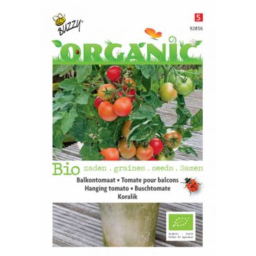 Balkontomaat Koralik (BIO) - afbeelding 1