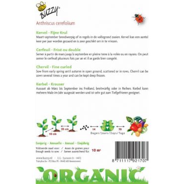 Kervel Fijne Krul (BIO) - afbeelding 2