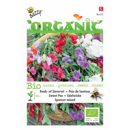 Lathyrus, Reuk- of Siererwt Spencer (BIO) - afbeelding 1
