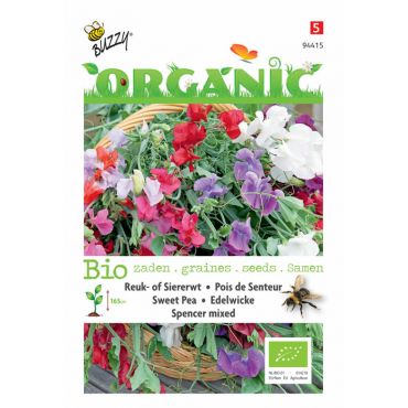 Lathyrus, Reuk- of Siererwt Spencer (BIO) - afbeelding 1
