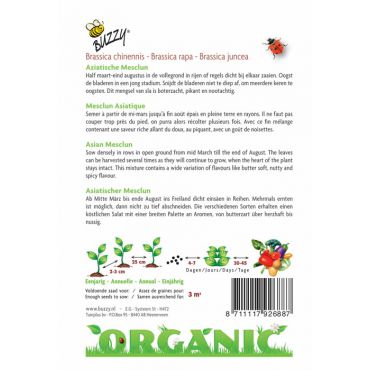 Aziatische Mesclun (BIO) - afbeelding 2
