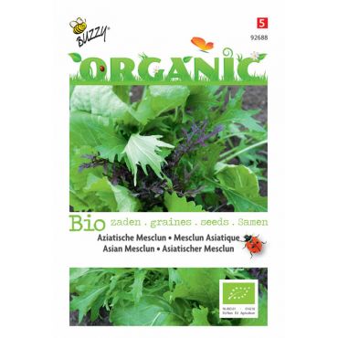 Aziatische Mesclun (BIO) - afbeelding 1