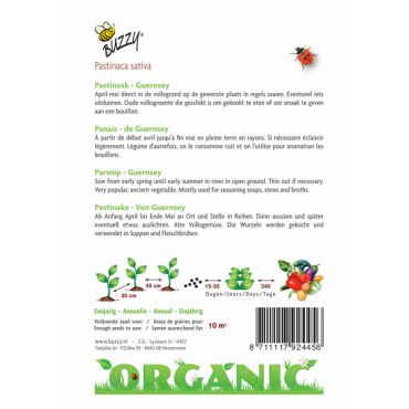 Pastinaak Guernsey (BIO) - afbeelding 2