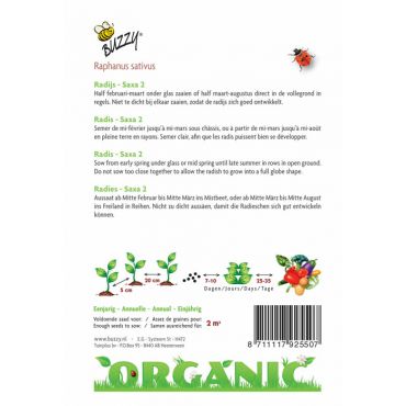 Radijs Saxa 2 (BIO) - afbeelding 2