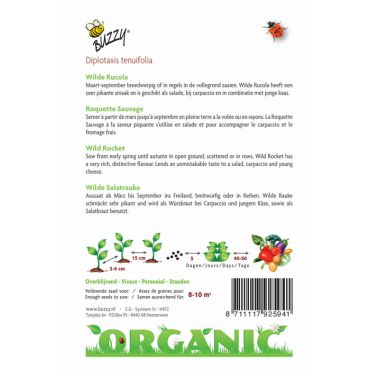 Wilde Rucola (BIO) - afbeelding 2