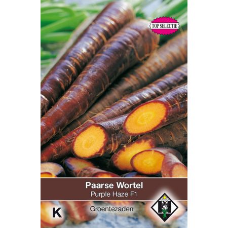 Paarse Wortel Purple Haze F1 - afbeelding 1