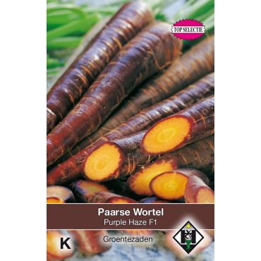 Paarse Wortel Purple Haze F1 - afbeelding 1