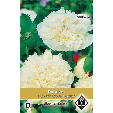 Papaver paeoniflorum 'Cream Paeony' - afbeelding 1