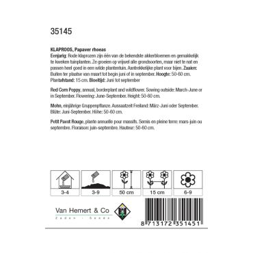 Papaver rhoeas - afbeelding 2