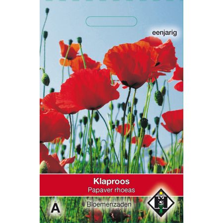 Papaver rhoeas - afbeelding 1