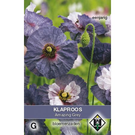 Papaver rhoeas Amazing Grey - afbeelding 1