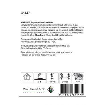 Papaver rhoeas Parelmoer - afbeelding 2