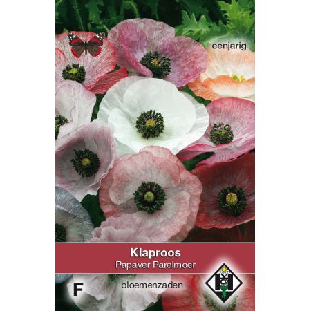 Papaver rhoeas Parelmoer - afbeelding 1