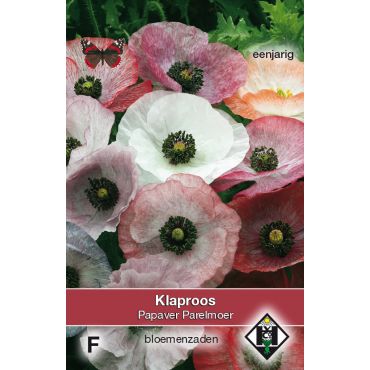 Papaver rhoeas Parelmoer - afbeelding 1