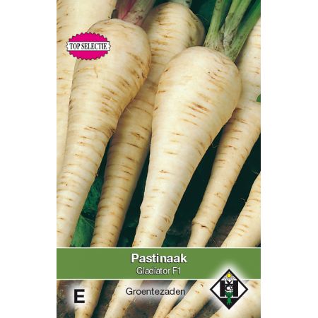 Pastinaak Gladiator F1 - afbeelding 1