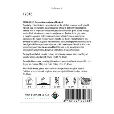 Peterselie Moskrul / Peterselinum - afbeelding 2