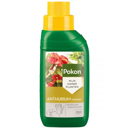 Pokon anthurium voeding 250 ml - afbeelding 1