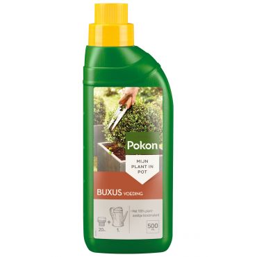 Pokon buxus voeding 500 ml - afbeelding 1