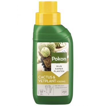 Pokon cactus & vetplant voeding 250 ml - afbeelding 1