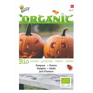 Pompoen Jack O'Lantern (BIO) - afbeelding 1