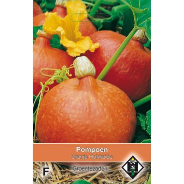 Pompoen Oranje Hokkaido - afbeelding 1