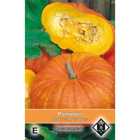 Pompoen Rode van Etampes - afbeelding 1