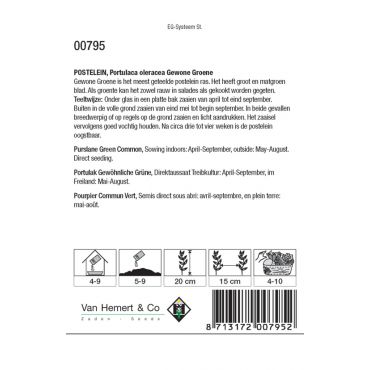 Postelein Gewone Groene - afbeelding 2