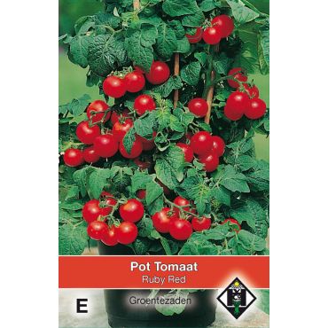Pot tomaat Ruby Red - afbeelding 1