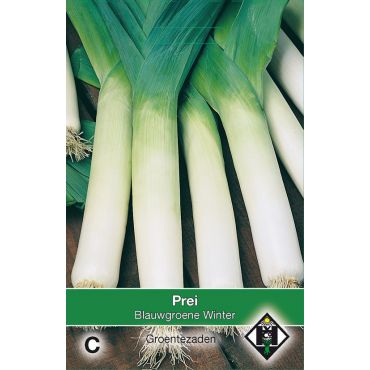 Prei Blauwgroene Winter - afbeelding 1