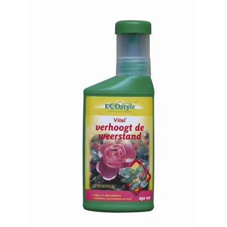 ECOstyle vital concentraat 250 ml - afbeelding 1