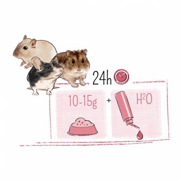 Puur voeding hamster&friends (400 gram) - afbeelding 2