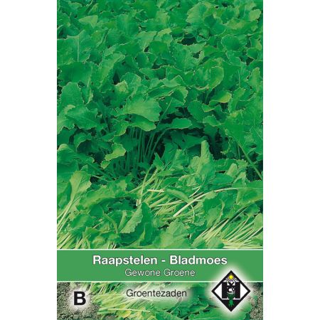 Raapstelen - Bladmoes Gewone groene - afbeelding 1