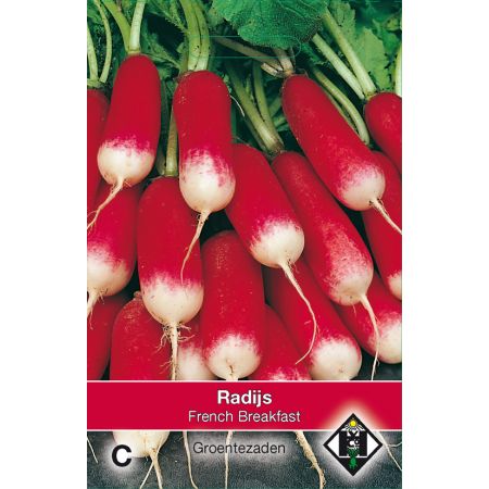 Radijs French Breakfast - afbeelding 1