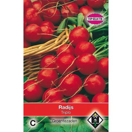 Radijs Raxe - afbeelding 1